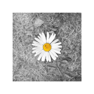 狠狠躁天天躁夜夜躁夜天战
