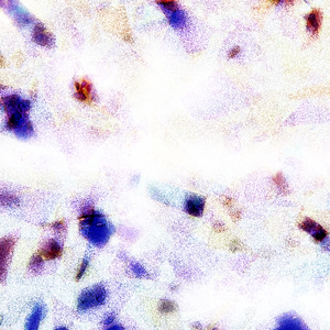 狠狠躁天天躁夜夜躁夜天战
