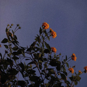 狠狠躁天天躁夜夜躁夜天战
